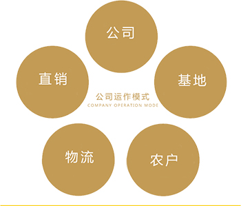 �����ʳ�﹤ҵ԰